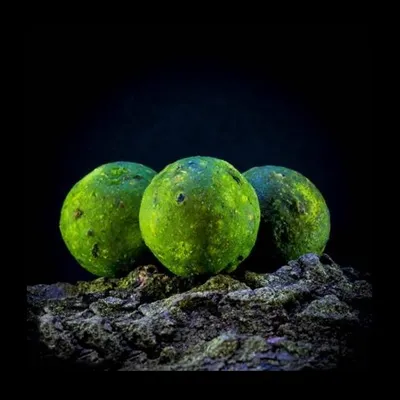 MASSIVE BAITS BOILIES GREEN MULBERRY 14 MM TS055