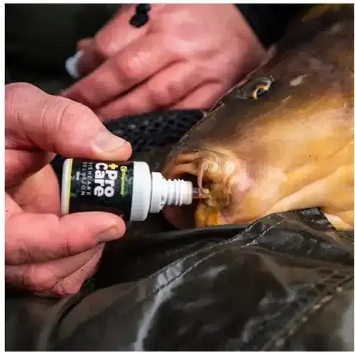 Ridgemonkey Procare Fishcare Solution