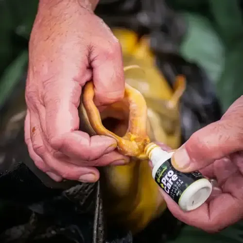 Ridgemonkey Procare Fishcare Solution