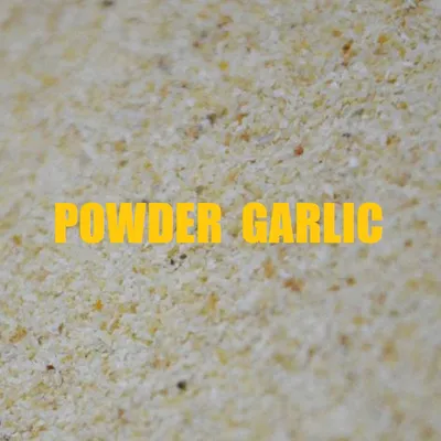 MASSIVE BAITS POWDER GARLIC 500 gr KP062