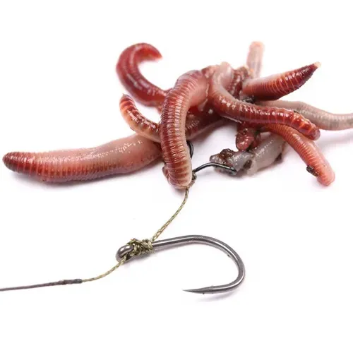 Nash Maggot Clip Large