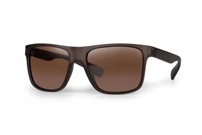 FOX EYEWEAR AVIUS TRANS  KHAKI BROWN POLARISED CSN055