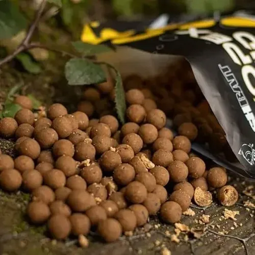 Nash Scopex Squid Boilies 24mm 1Kg