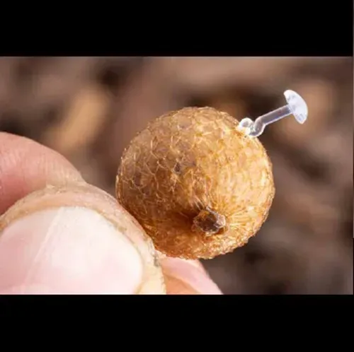 Nash Claw Cracker Bait Mesh Refill Super Narrow 7,5m