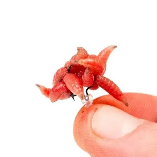 Nash Maggot Screw Small