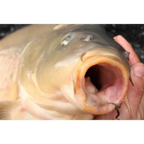 Korda Anzuelo Mixa Size 6