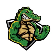Alligator