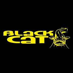 Black Cat